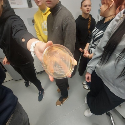 Need bakterid on täitsa söödavad, proovi järgi! (Toidukeemia labor)